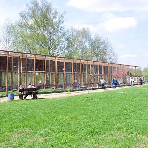 General view of raptors exhibits