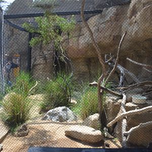Roadrunner Exhibit