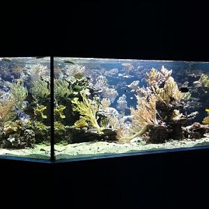 Sea aquarium