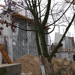 Afrykarium structure