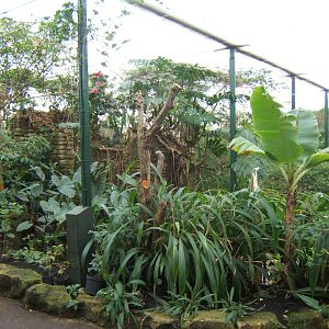 View inside Tropical House