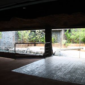 Wild Amazonia - Amazon Flooded Forest