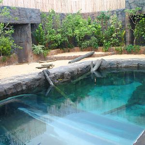 Wild Amazonia - Amazon Flooded Forest