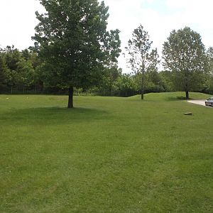 Givskud Zoo - Safari (Africa #1)