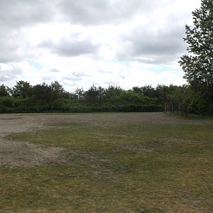 Givskud Zoo - Safari (Africa #2)