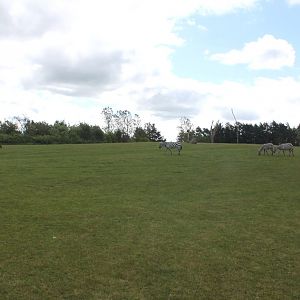 Givskud Zoo - Safari (Africa #2)