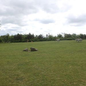 Givskud Zoo - Safari (Africa #2)