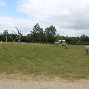 Givskud Zoo - Safari (Africa #2)