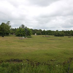 Givskud Zoo - Safari (Africa #3)