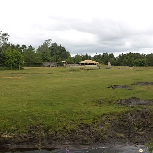 Givskud Zoo - Safari (Africa #3)