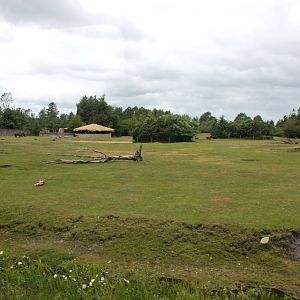 Givskud Zoo - Safari (Africa #3)