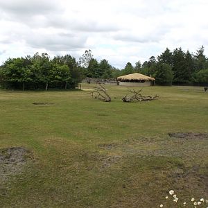 Givskud Zoo - Safari (Africa #3)