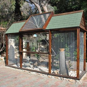 Budgerigars enclosure