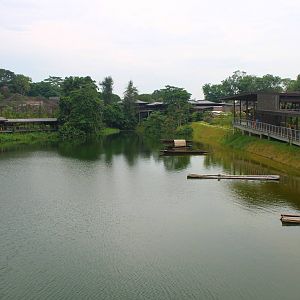 View from the bridge