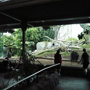 San Diego Zoo 24.09.2010