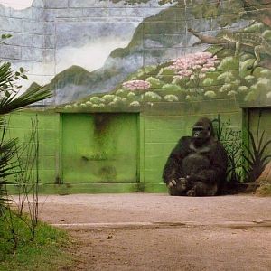 San Diego Zoo 24.09.2010