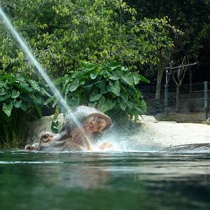 San Diego Zoo 24.09.2010