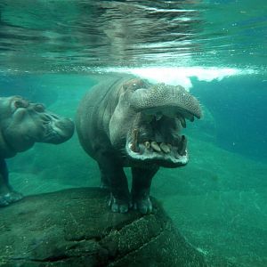 San Diego Zoo 24.09.2010