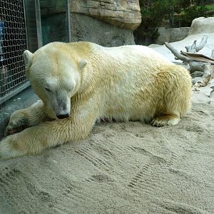 San Diego Zoo 24.09.2010