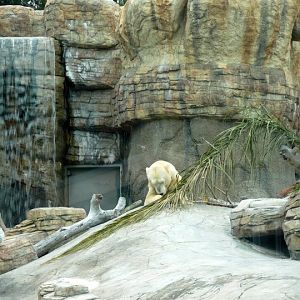 San Diego Zoo 24.09.2010