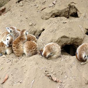 San Diego Zoo 24.09.2010