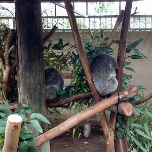 San Diego Zoo 24.09.2010