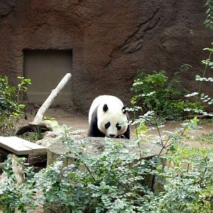 San Diego Zoo 24.09.2010