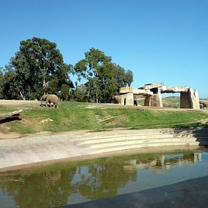 San Diego Zoo Safari Park 24.09.2010