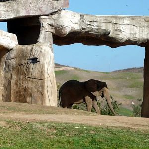 San Diego Zoo Safari Park 24.09.2010