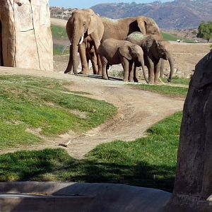 San Diego Zoo Safari Park 24.09.2010