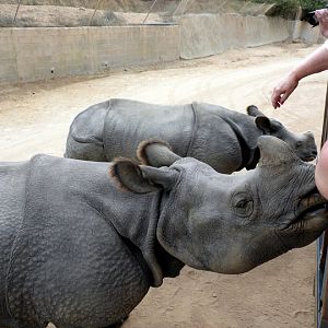 San Diego Zoo Safari Park 24.09.2010