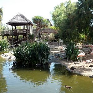 San Diego Zoo Safari Park 24.09.2010