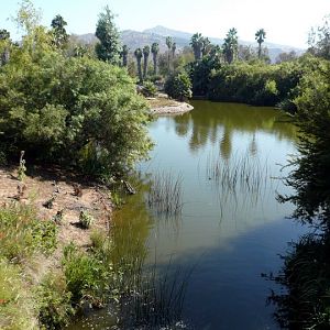 San Diego Zoo Safari Park 24.09.2010