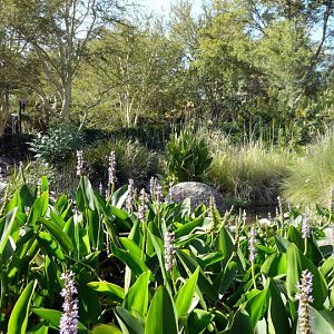 San Diego Zoo Safari Park 24.09.2010