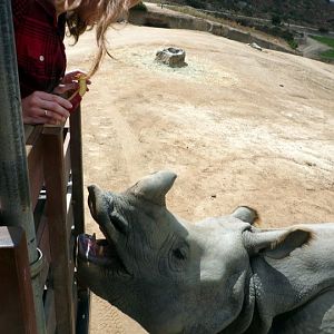 San Diego Zoo Safari Park 24.09.2010