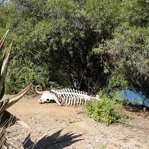 San Diego Zoo Safari Park 24.09.2010