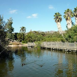 San Diego Zoo Safari Park 24.09.2010