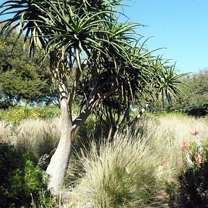 San Diego Zoo Safari Park 24.09.2010