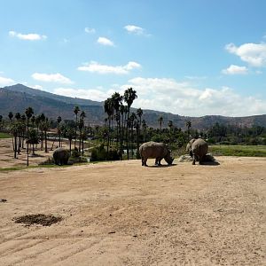 San Diego Zoo Safari Park 24.09.2010