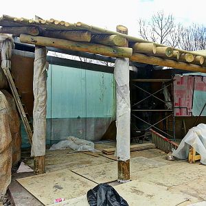 Apr. 2013 - Africa - Future African Lion Exhibit Viewing