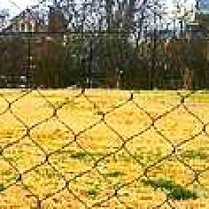 Apr. 2013 - Cheetah Encounter