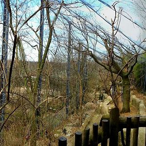 Apr. 2013 - Eagle Eyrie - Andean Condor Exhibit