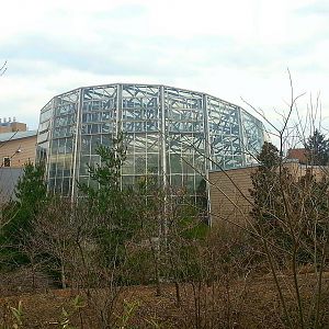 Apr. 2013 - Discovery Forest