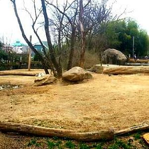 Apr. 2013 - Elephant Reserve - Indian Elephant Exhibit Panorama
