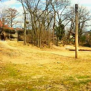 Apr. 2013 - Elephant Reserve - Indian Elephant Exhibit Panorama