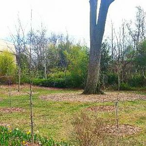 Apr. 2013 - Former Okapi Exhibit