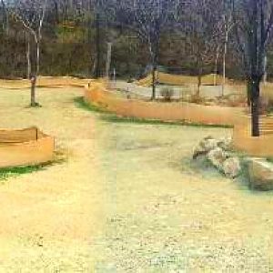 Apr. 2013 - Africa - Giraffe Ridge - Masai Giraffe + Grey-crowned Crane Exh