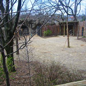 Apr. 2013 - Wildlife Canyon - 1 of 2 Bactrian Camel Exhibits