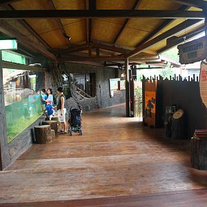 Rivers of the World - Mississippi River