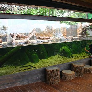 Rivers of the World - Mississippi River